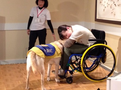 写真：介助犬デモンストレーションの様子