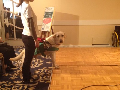 写真：盲導犬デモンストレーションの様子