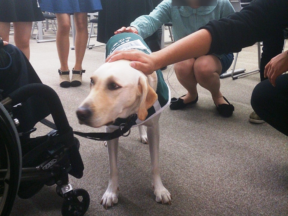 写真：関西学院大学での一コマ、大人気の（？）介助犬デイジー