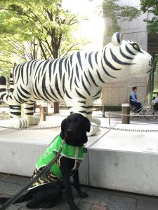 丸の内ビルの前で