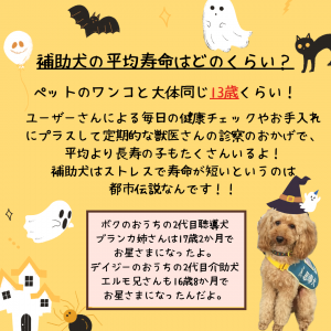 Faq 0016 補助犬の平均寿命はどのくらい 特定非営利活動法人 日本補助犬情報センター
