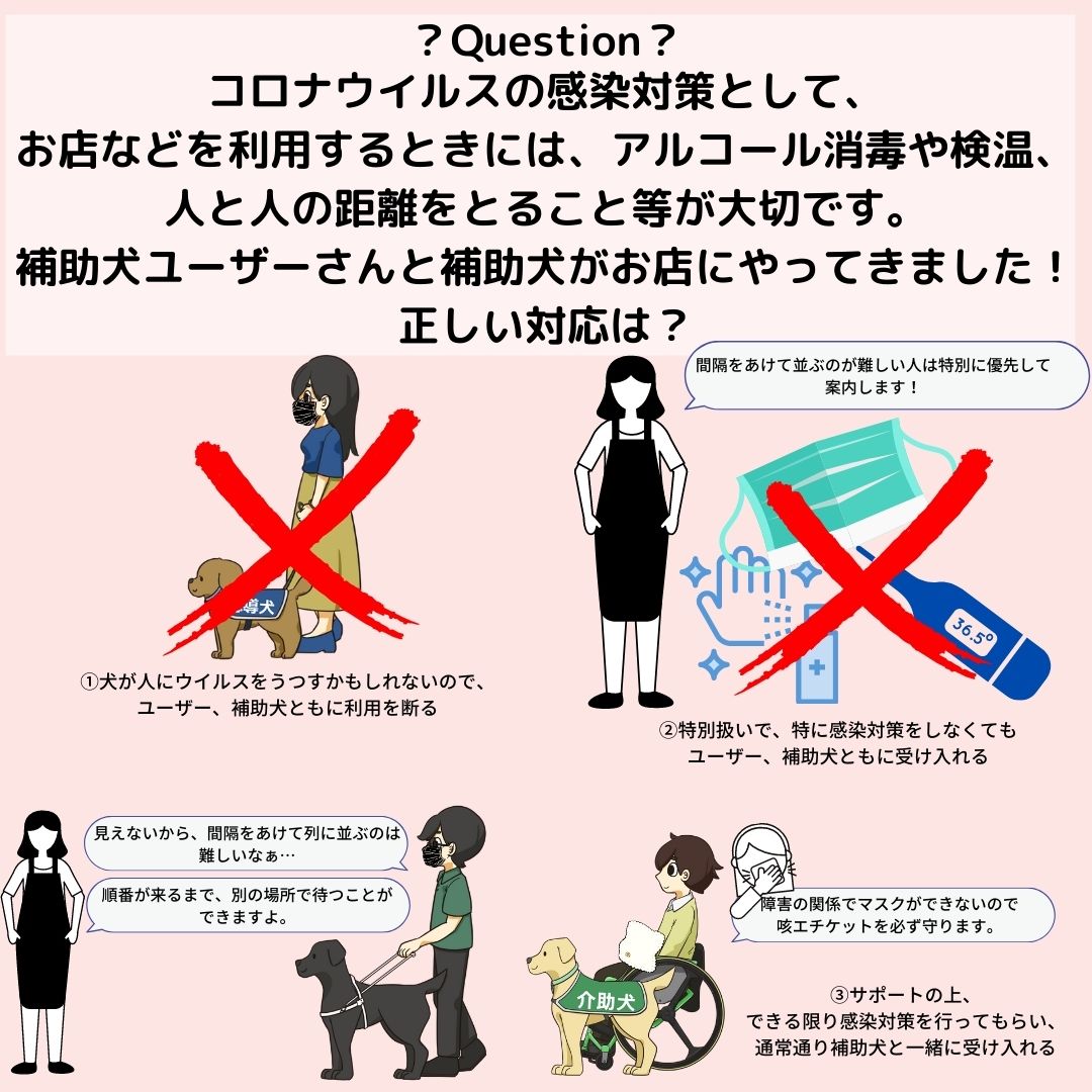 高齢犬の失禁を特定して治療する方法