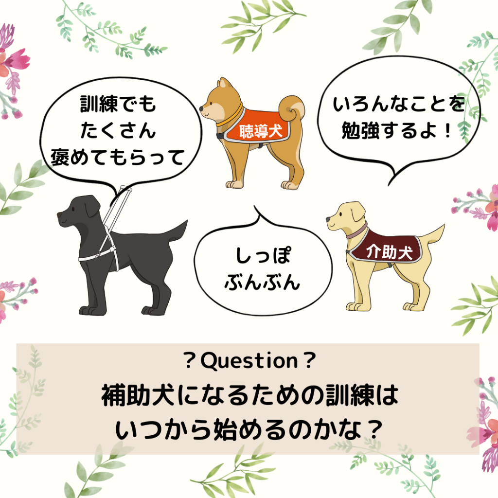 犬に後ずさりする訓練をする方法