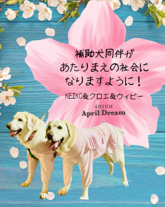 補助犬同伴があたりまえの社会になりますように！KEIKO＆クロエ＆ウィビー